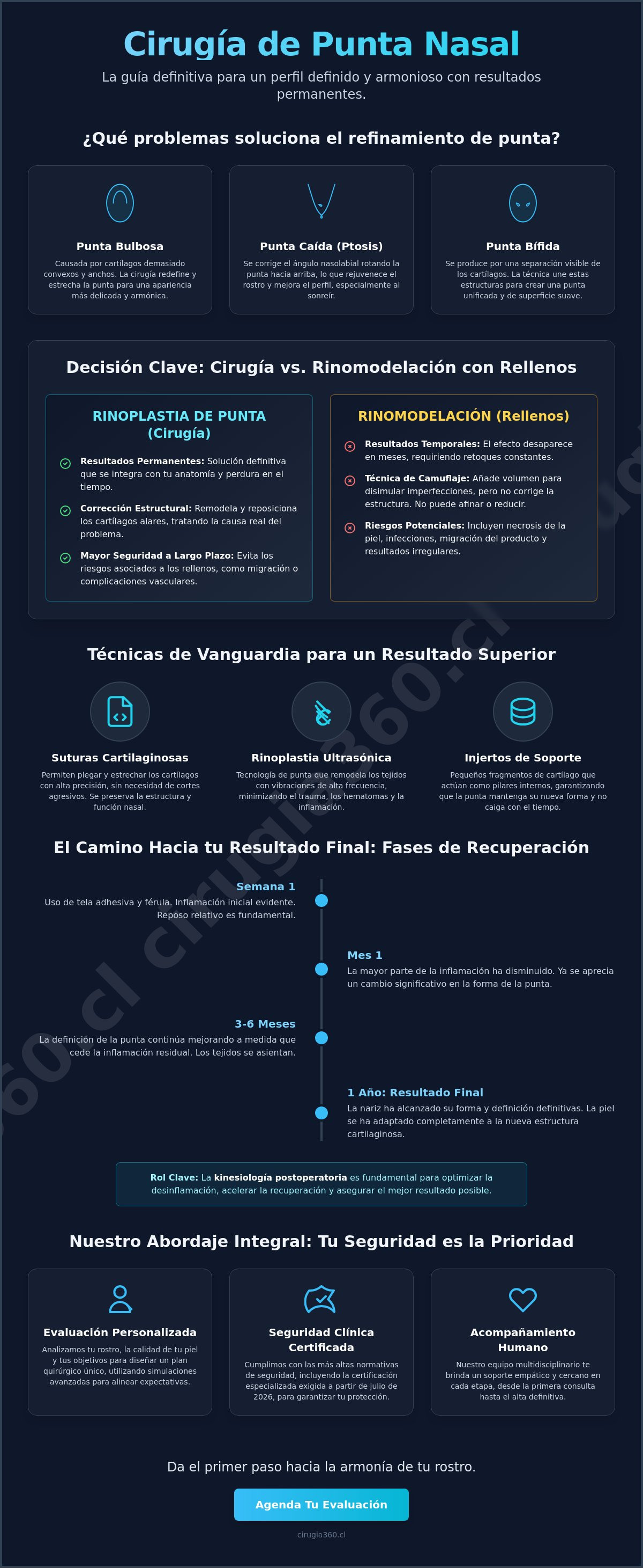 Infografia de Afinar la punta nasal con cirugía: Guía completa para una nariz definida y natural